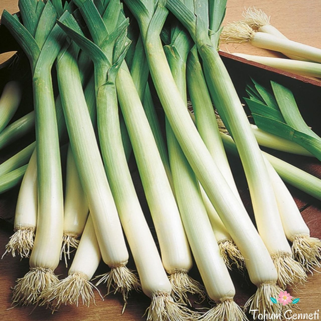 Geleneksel Pırasa Tohumu (100 Tohum)