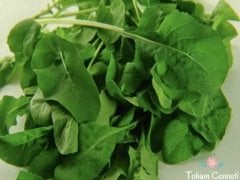 Yerli Roka Tohumu (500 Tohum)