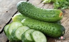 Kornişon Salatalık Tohumu (30 Tohum)