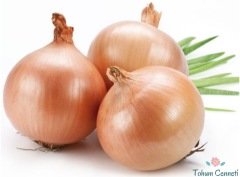 Standart Soğan Tohumu (100 Tohum)