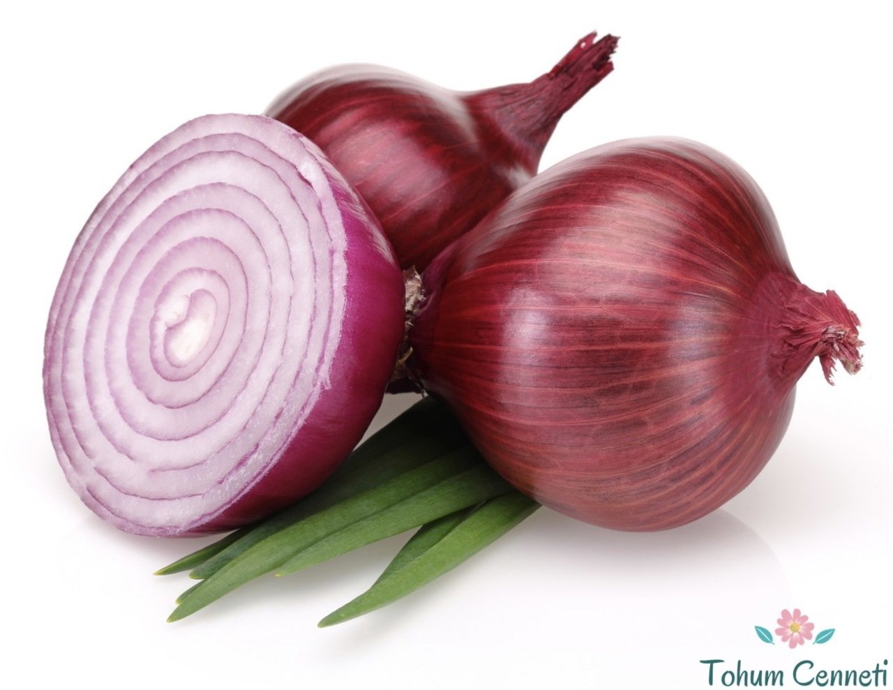 Geleneksel Kırmızı Soğan Tohumu (100 Tohum)