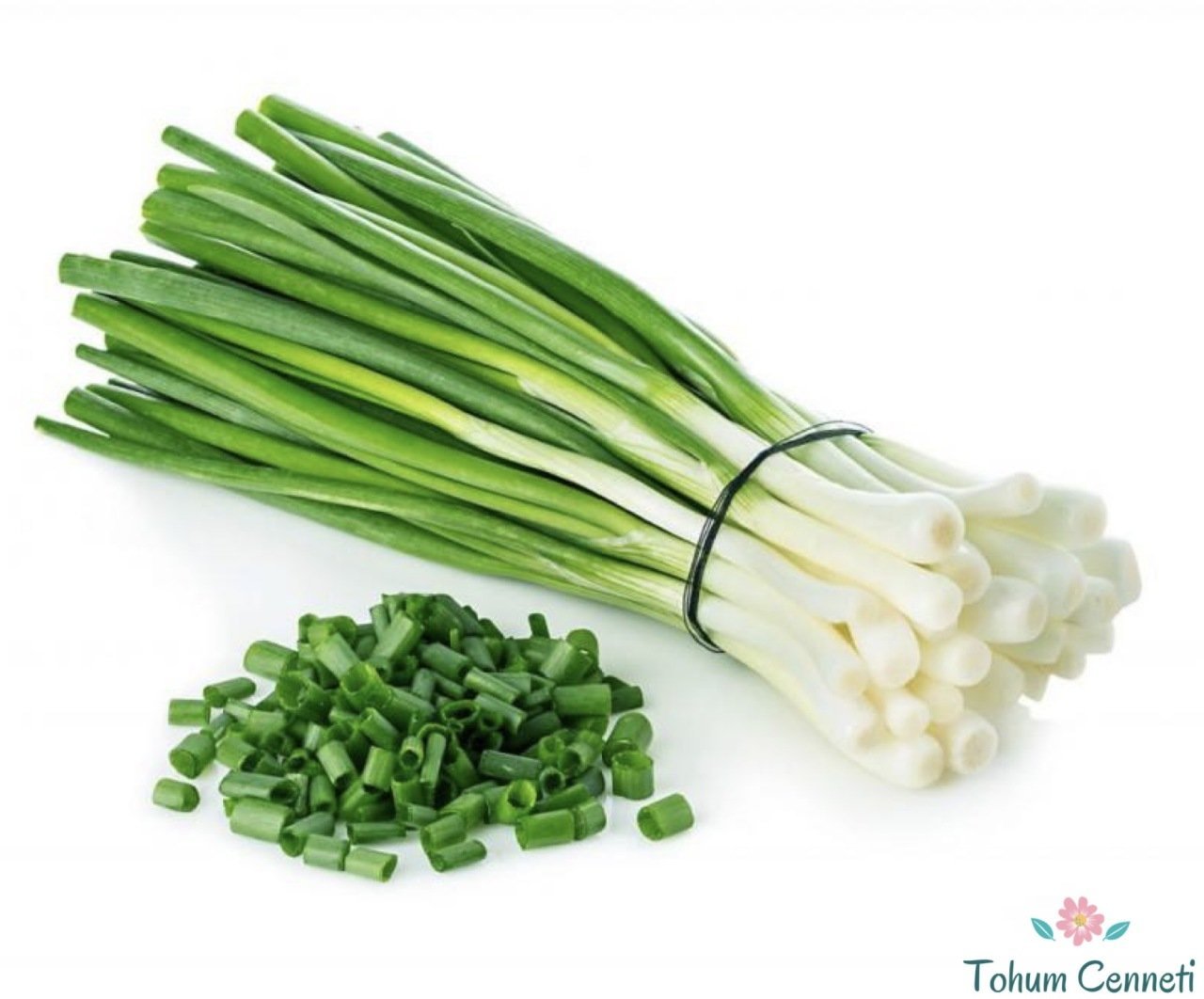 Geleneksel Taze Yeşil Soğan Tohumu (100 Tohum)