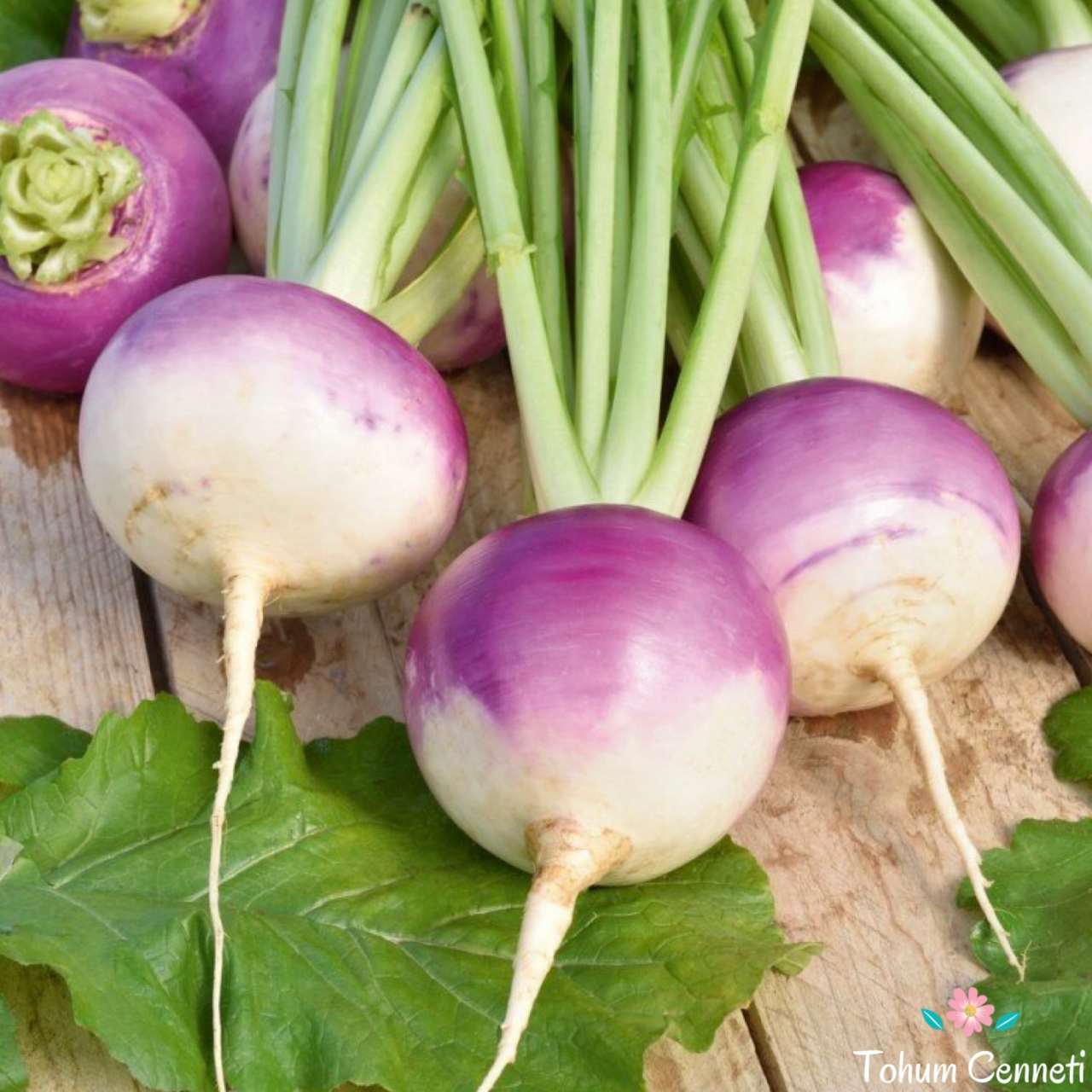 Doğal Şalgam Tohumu (500 Tohum)