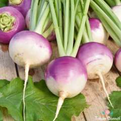 Doğal Şalgam Tohumu (500 Tohum)