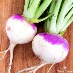 Doğal Şalgam Tohumu (500 Tohum)