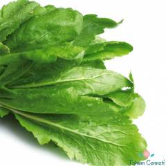 Yerli Geniş Yapraklı Tere Tohumu (500 Tohum)