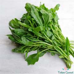 Yerli Geniş Yapraklı Tere Tohumu (500 Tohum)