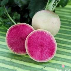 Geleneksel Karpuz Turp Tohumu (100 Tohum)