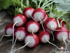 Kırmızı Beyaz Turp Tohumu (50 Tohum)
