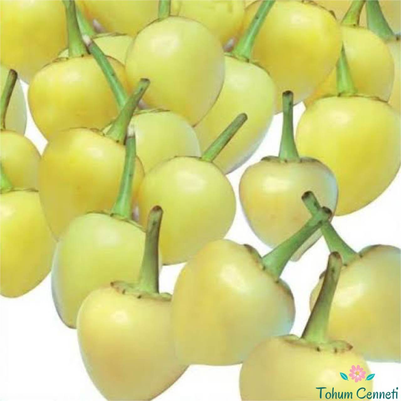 Sarı Misket Biber Tohumu (50 Tohum)