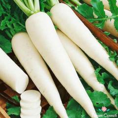 Geleneksel Uzun Beyaz Turp Tohumu (50 Tohum)