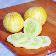 Limon Salatalık Tohumu (5 Tohum)
