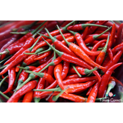 Kırmızı Acı Meksika Biberi Tohumu (10 Tohum)