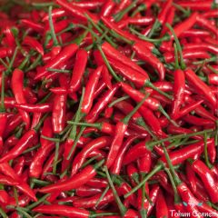 Kırmızı Acı Meksika Biberi Tohumu (10 Tohum)