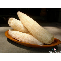 Doğal Lif Sünger Kabağı Tohumu (5 Tohum)