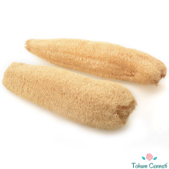 Doğal Lif Sünger Kabağı Tohumu (5 Tohum)