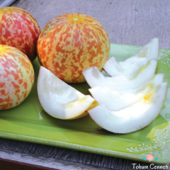 Kokulu Kaplan Kavunu Tohumu (25 Tohum)