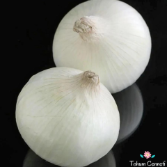 Tatlı Beyaz Soğan Tohumu (100 Tohum)