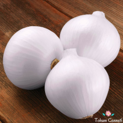 Tatlı Beyaz Soğan Tohumu (100 Tohum)