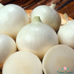 Tatlı Beyaz Soğan Tohumu (100 Tohum)