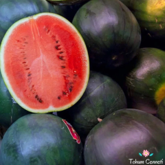 Geleneksel Siyah Elmas Karpuz Tohumu (25 Tohum)