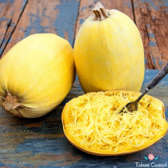 Geleneksel Spagetti Kabak Tohumu (5 Tohum)