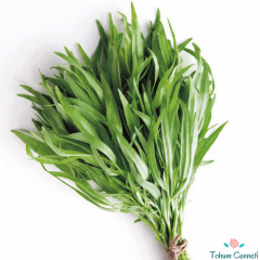 Tarhun Otu Tohumu (50 Tohum)