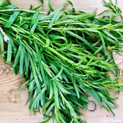 Tarhun Otu Tohumu (50 Tohum)