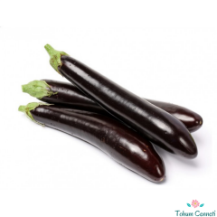 Kemer Patlıcan Tohumu (500 Tohum)