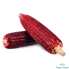 İri Taneli Kırmızı Süt Mısır Tohumu (10 Tohum)