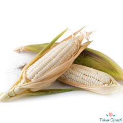 Atalık Beyaz Cin Mısır Tohumu (10 Tohum)