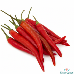 Şili Kırmızı Biber Tohumu (10 Tohum)