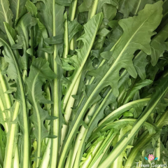 Frenk Salatası Hindiba Tohumu (50 Tohum)