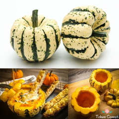 Şeker Dumpling Kabak Tohumu (5 Tohum)