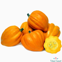 Altın Acorn Kabak Tohumu (5 Tohum)