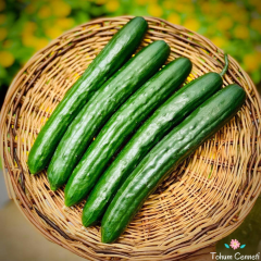 Uzun Japon Salatalık Tohumu (10 Tohum)