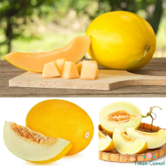 Kanarya Sarı Kavun Tohumu (10 Tohum)