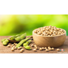 Yerli Soya Fasulyesi Tohumu (25 Tohum)