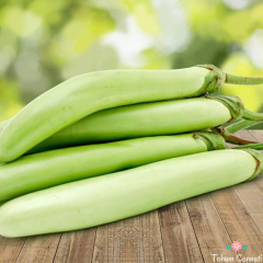 Giant Thai Yeşil Patlıcan Tohumu (10 Tohum)