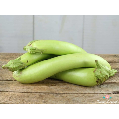 Giant Thai Yeşil Patlıcan Tohumu (10 Tohum)
