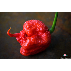 Kırmızı Carolina Reaper Biber Tohumu (5 Tohum)