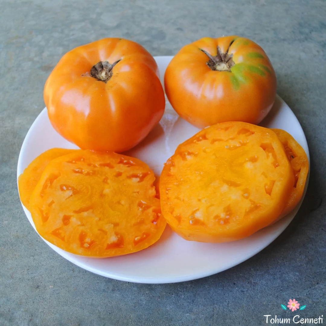 Turuncu Amana Domates Tohumu (10 Tohum)