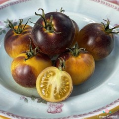 Blue Wolly Kate Domates Tohumu (10 Tohum)