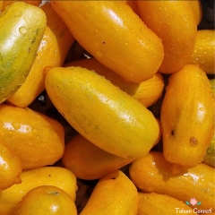 Sarı San Marzano Domates Tohumu (10 Tohum)