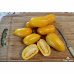 Sarı San Marzano Domates Tohumu (10 Tohum)