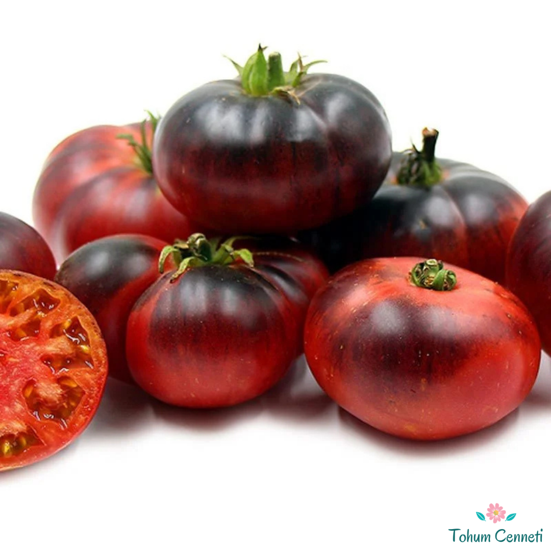 Blue Beauty Domates Tohumu (10 Tohum)