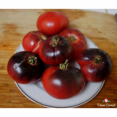 Blue Beauty Domates Tohumu (10 Tohum)