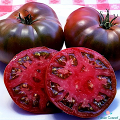 Geleneksel Rus Black Krim Domates Tohumu (10 Tohum)