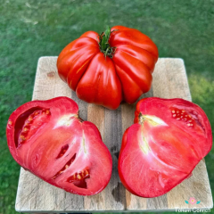 İtalyan Yürek Domates Tohumu (10 Tohum)