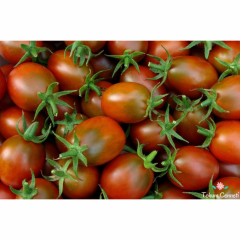 Siyah Erik Domates Tohumu (10 Tohum)